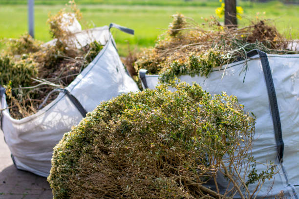 Trash Removal Near Me in Fairview, UT